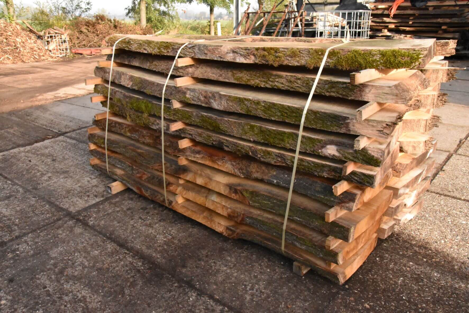 Het beste Verzorger De stad Schaaldelen eik-es(doorn) 40-60cm breed - A-2 - Real Dutch Wood