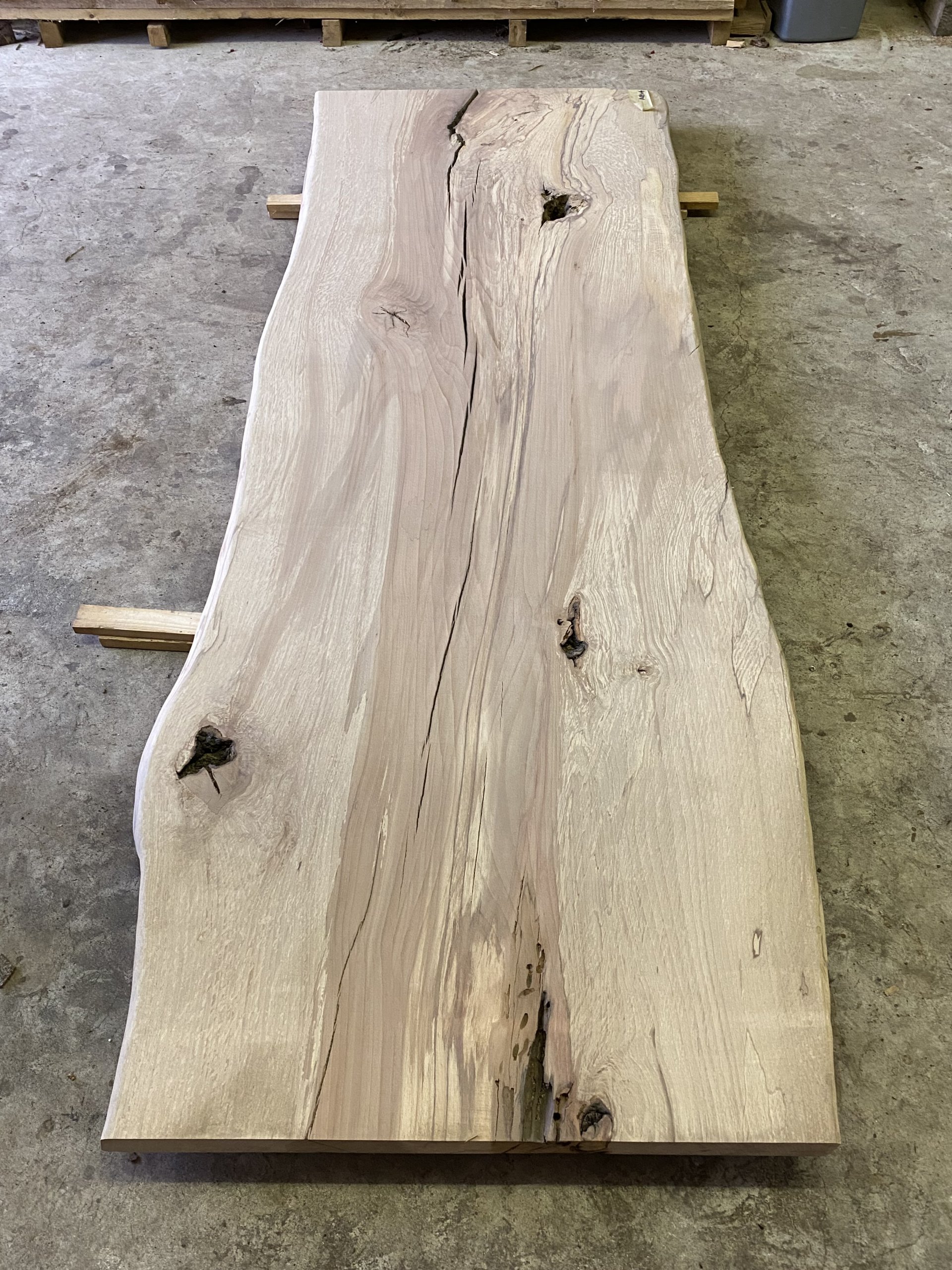 opgraven Omgaan met toekomst beuken houten boomstamblad - Real Dutch Wood