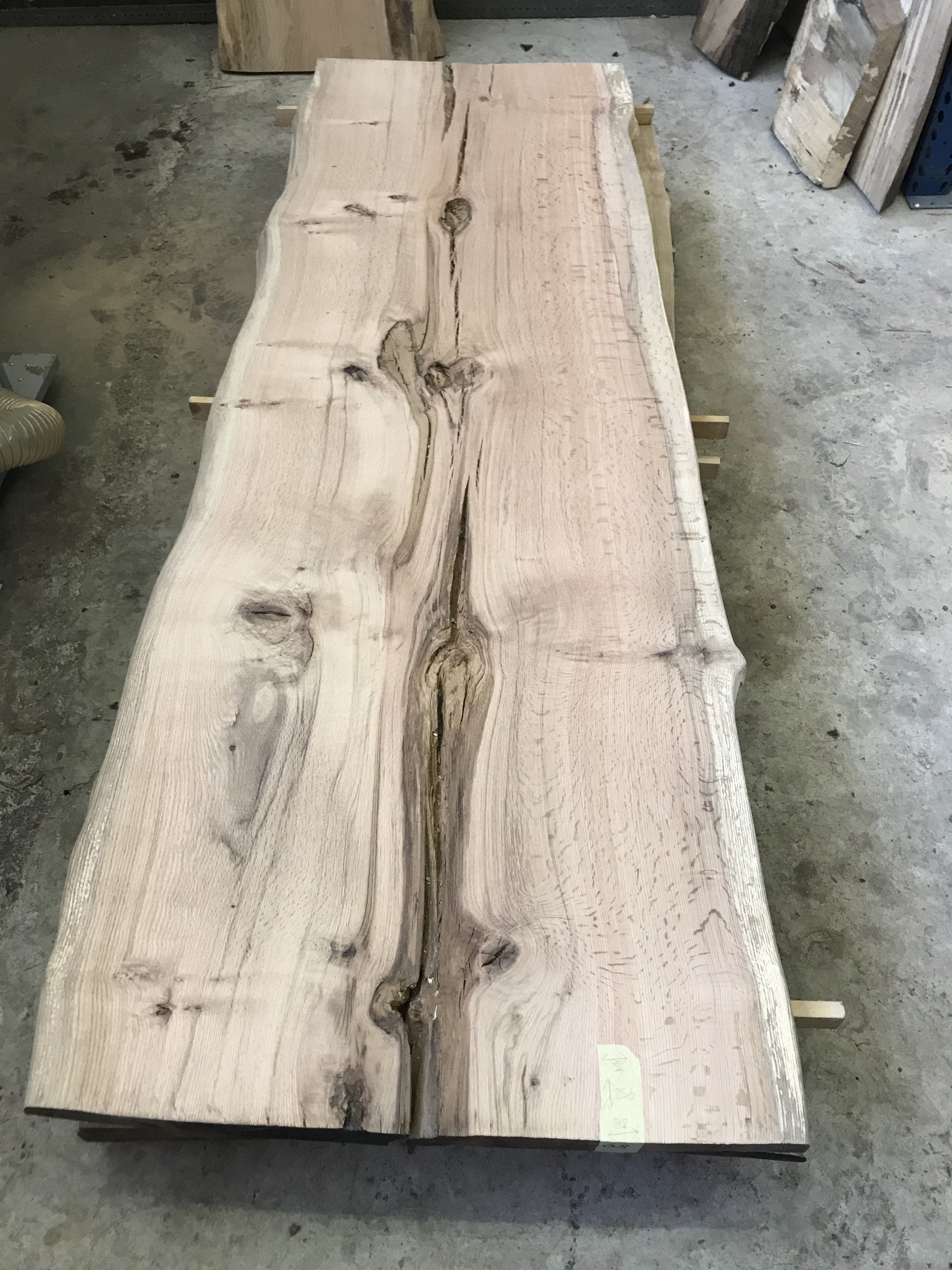 Dwars zitten Republiek Uitgestorven Eiken houten boomstamblad - Real Dutch Wood